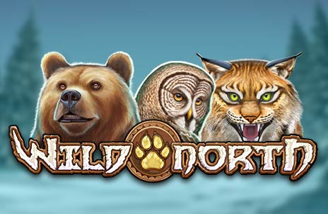 Wild North